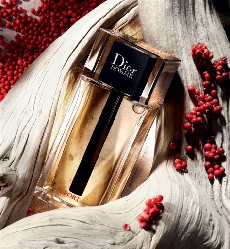 dior home sport 2021